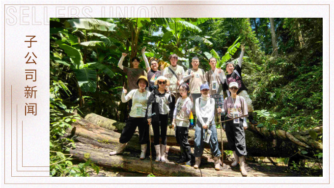 探雨林秘境，與森林同呼吸——記優(yōu)景公司年中西雙版納團建旅游